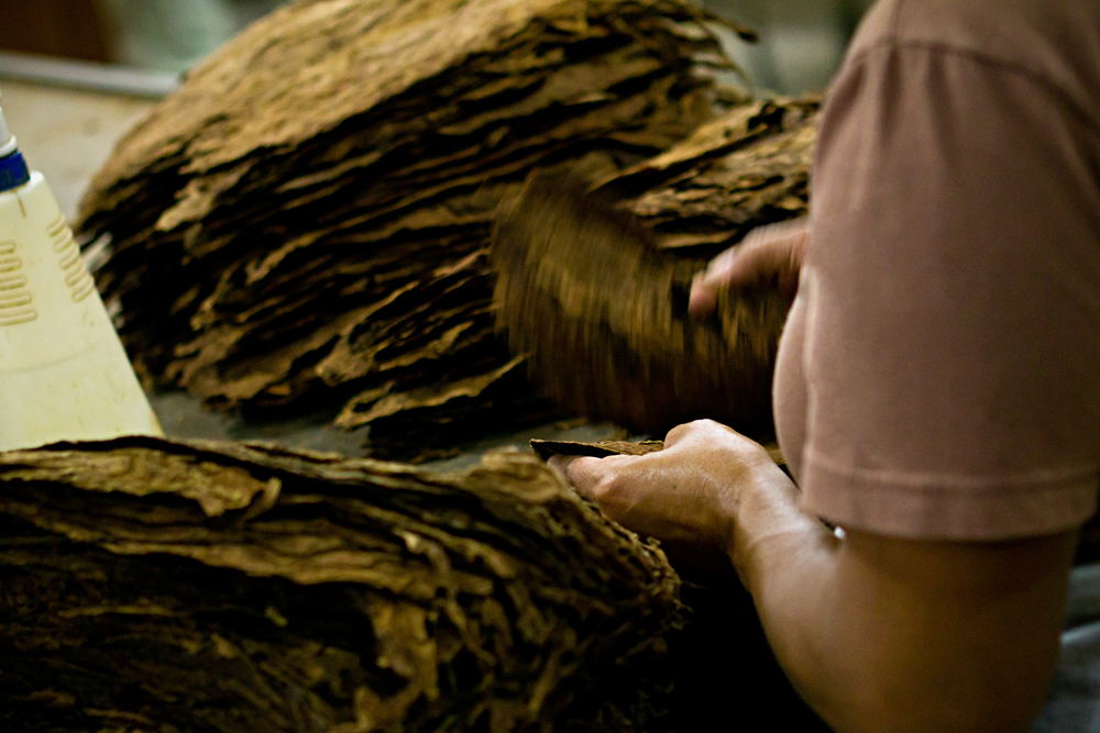 https://blancocigars.com/wp-content/uploads/2020/06/History-girl-factory.jpg